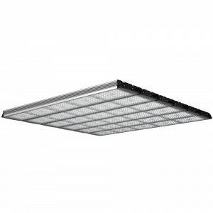 Geniled_Optimus_01_5Mx6L