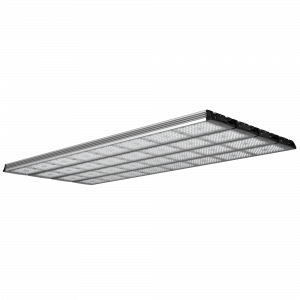 Geniled_Optimus_01_8Mx4L