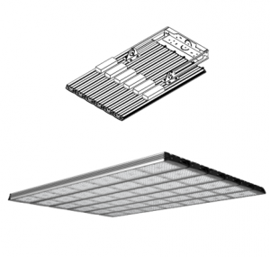 200195 Geniled_Crystal_K1