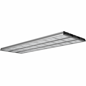 Geniled_Optimus_01_8Mx3L