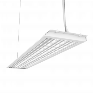 Geniled_Retail_Standart_500x100_01_Lens