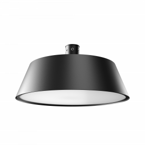 Geniled_Park_Sunday_suspended_500_C76_Opal_01