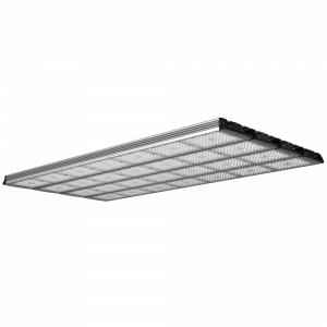 Geniled_Optimus_01_7Mx4L