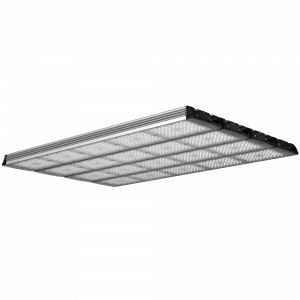 Geniled_Optimus_01_5Mx4L