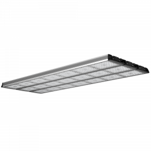 Geniled_Optimus_01_7Mx3L