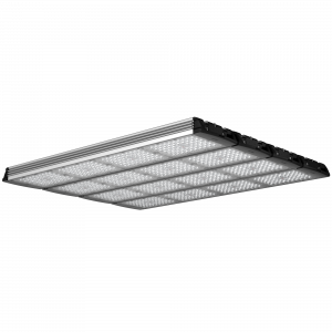 Geniled_Optimus_01_4Mx4L