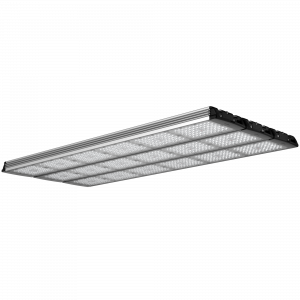 Geniled_Optimus_01_6Mx3L