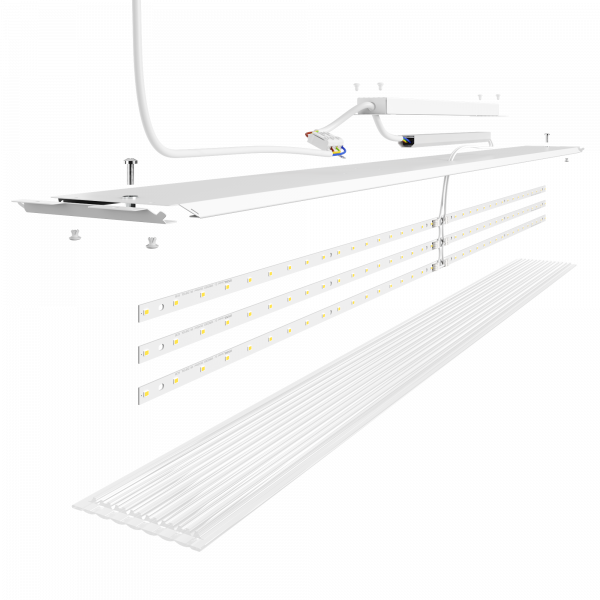 Geniled_Retail_Standart_1000x100_03_structure