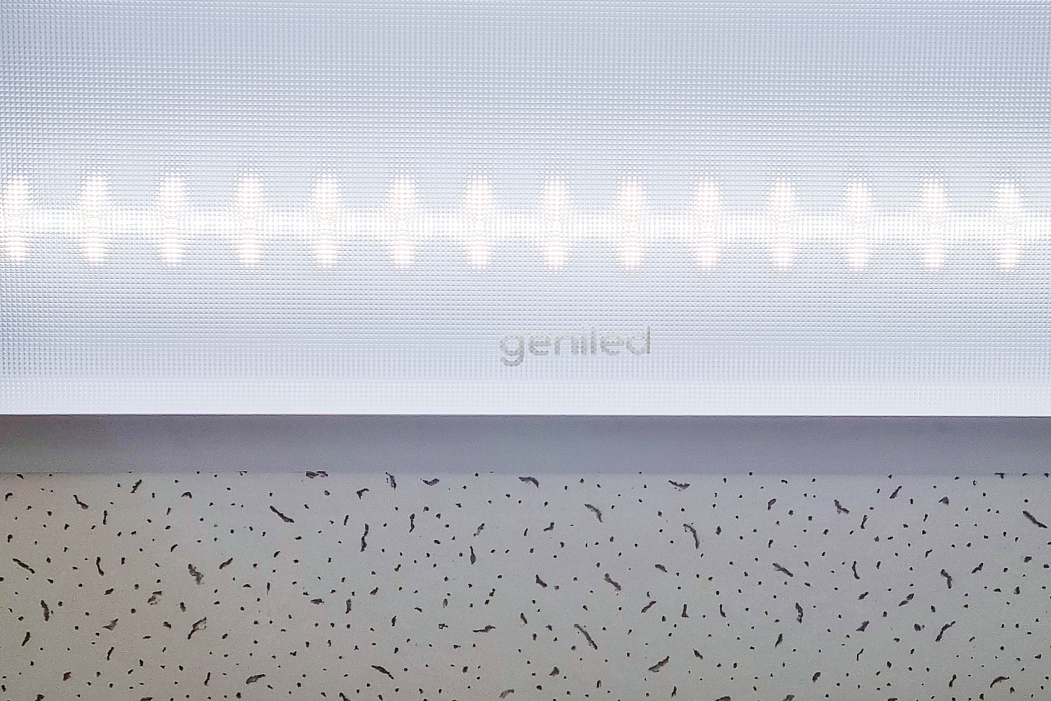 Швейная фабрика «Shizm», г. Екатеринбург