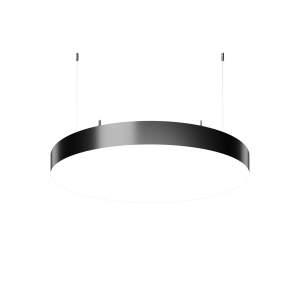 Disc