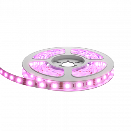 03550 Geniled_LED_Strip_Light_GL-60SMD5050_12V_14,4Wx1m_10x2000_RGB_IP33_02
