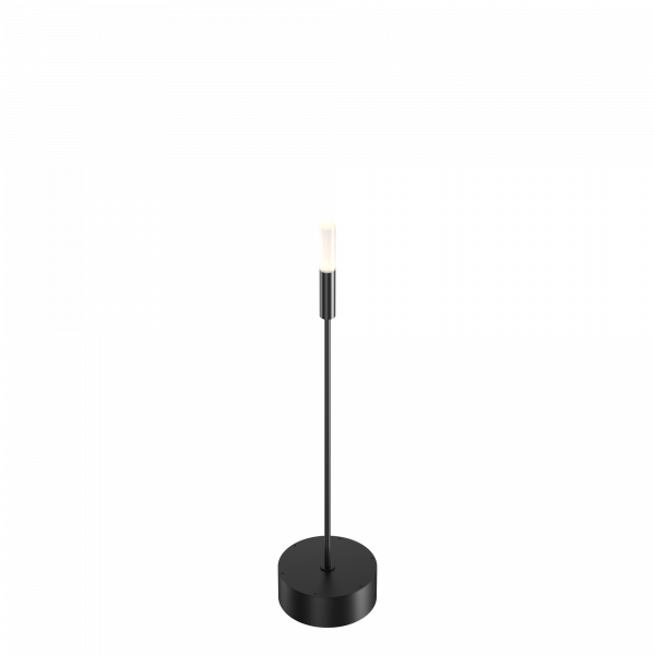 Geniled_Park_Palpi_L_600(100)_С30(С12)_1.5W_Opal_03