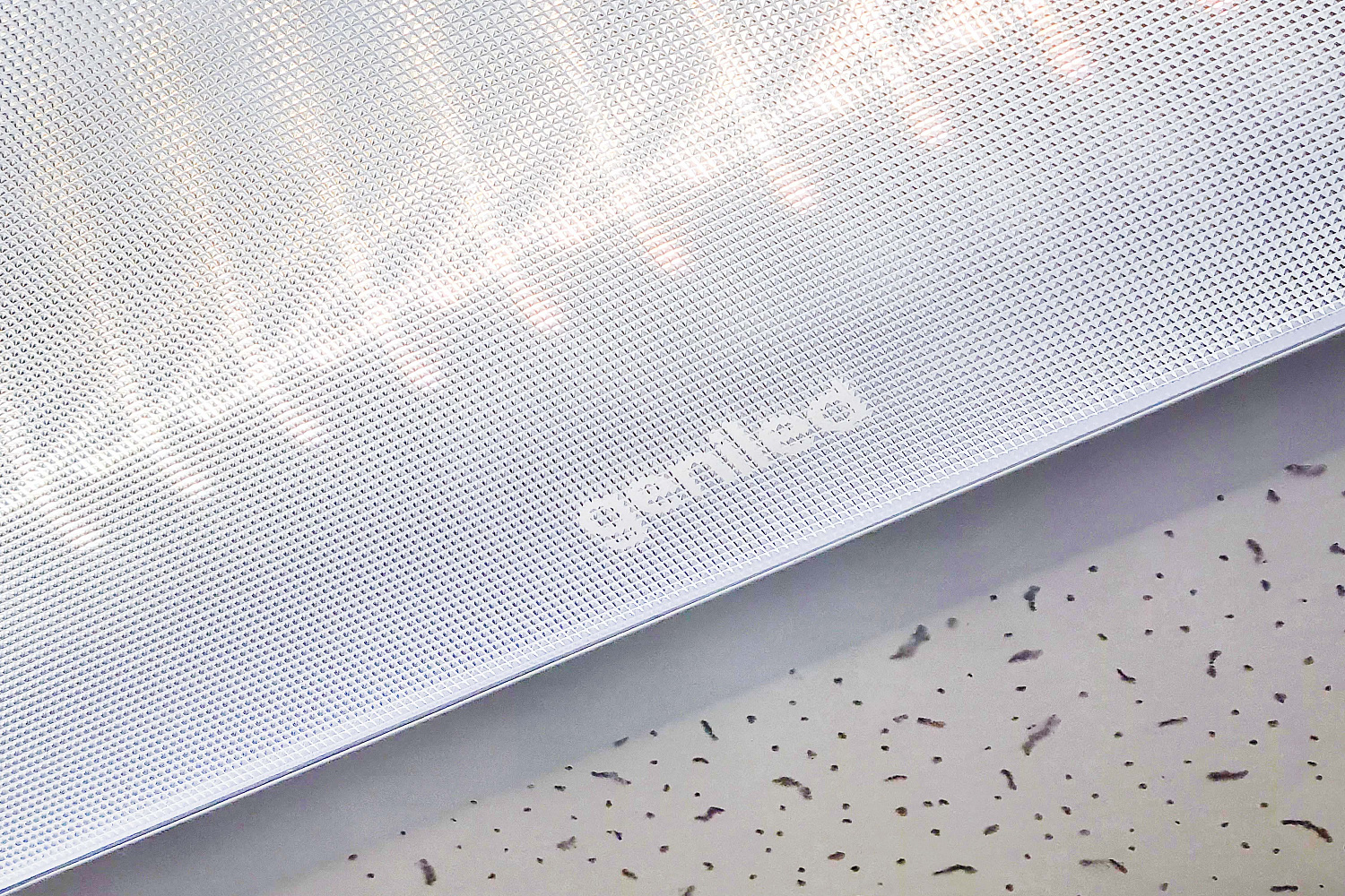 Швейная фабрика «Shizm», г. Екатеринбург