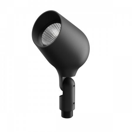 Geniled_Park_Bird_95x124mm_01