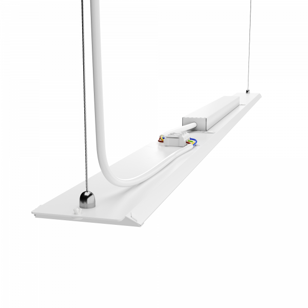 Geniled_Retail_Basic_1026x66x25_02_back