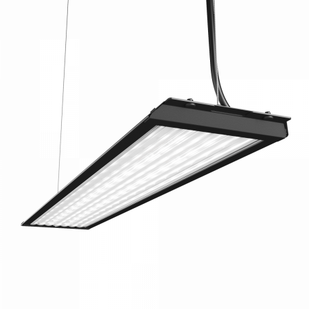 Geniled_Retail_Standart_500x100_01_Lens_black